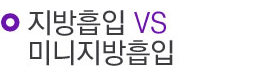 지방흡입 VS 미니지방흡입